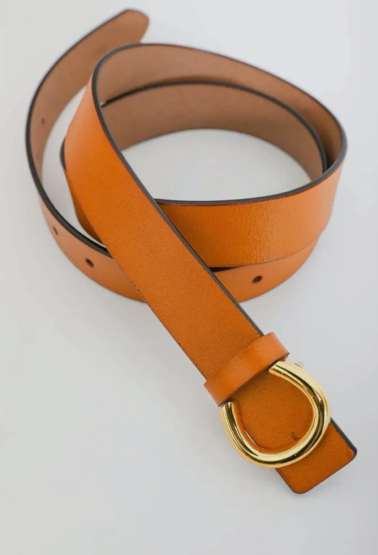 Minimalist Gold Horseshoe Belt